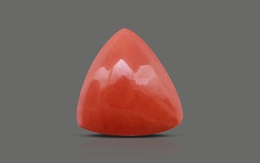 Red Coral - TC 5064 (Origin - Italy) Limited - Quality